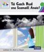 ◼️ Leibhéal 13 – Scéalta ar Dhath an Airgid - Pack of 5 by CJ Fallon on Schoolbooks.ie