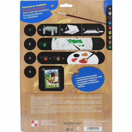 St Bernards - Medium Paint By Numbers by KSG on Schoolbooks.ie