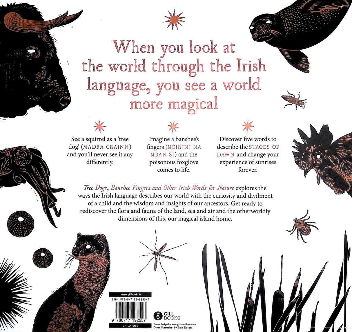 Tree Dogs, Banshee Fingers and Other Irish Words for Nature by Gill Books on Schoolbooks.ie