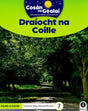 Cosán na Gealaí - Draiocht na Coille - 1st Class Non-Fiction Reader 7 by Gill Education on Schoolbooks.ie