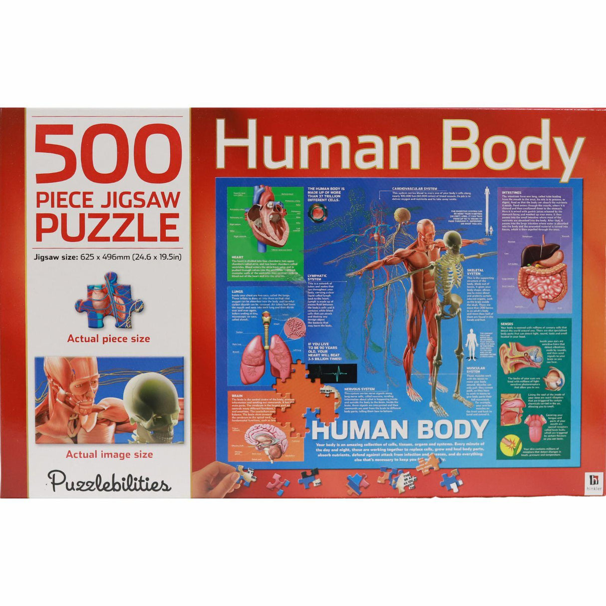 500 Piece Children's Jigsaw - Human Body by Hinkler on Schoolbooks.ie
