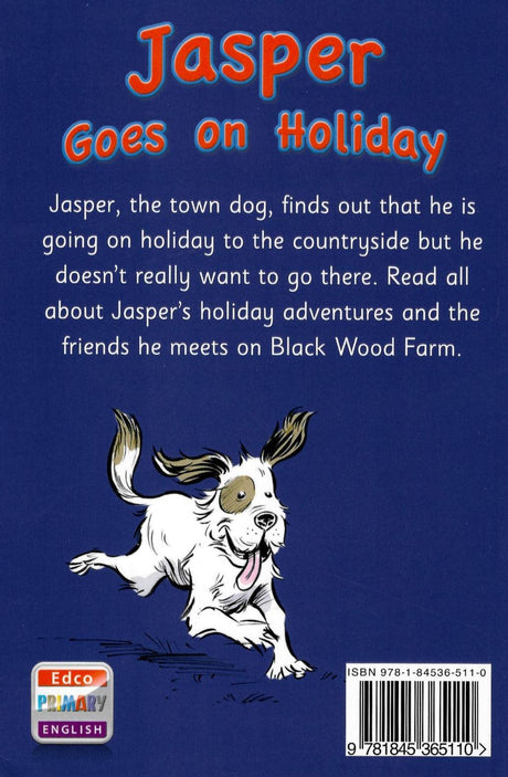 Big Box Adventures - Jasper Goes on Holiday - Novel by Edco on Schoolbooks.ie