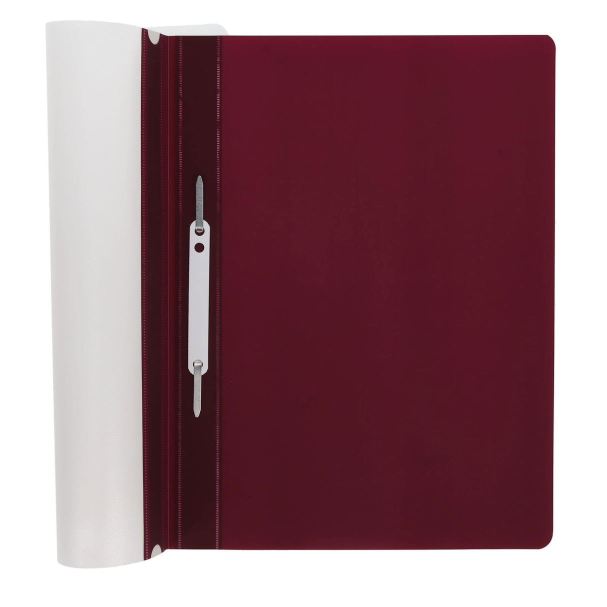 Concept - A4 Assorted Colours Project Files - Pack of 5 by Concept on Schoolbooks.ie