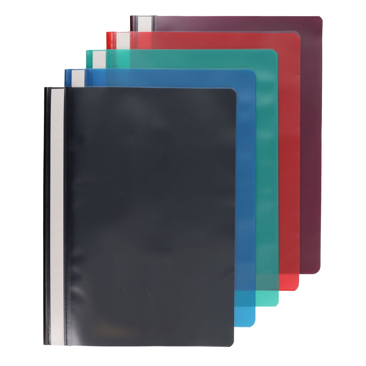Concept - A4 Assorted Colours Project Files - Pack of 5 by Concept on Schoolbooks.ie