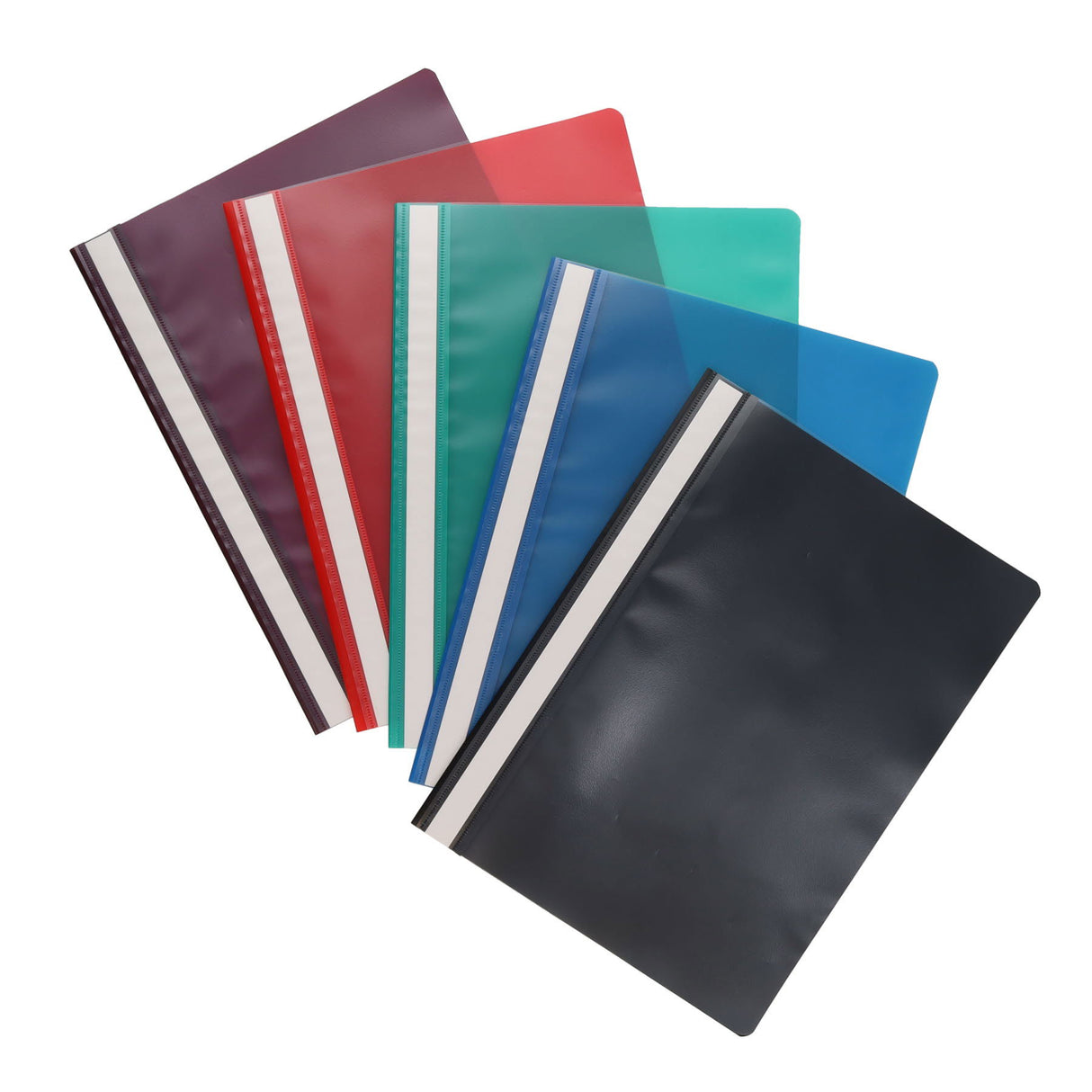 Concept - A4 Assorted Colours Project Files - Pack of 5 by Concept on Schoolbooks.ie