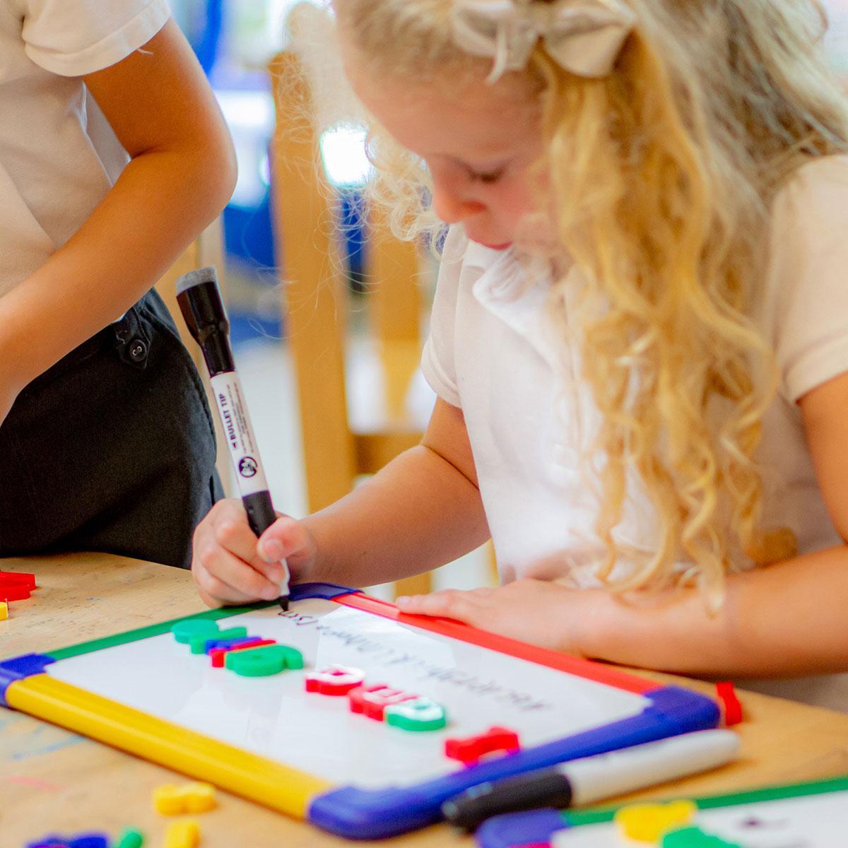 Show-me - Framed Magnetic Drywipe Boards - Gridded / Plain - A4 - Pack of 10 by Show-me on Schoolbooks.ie