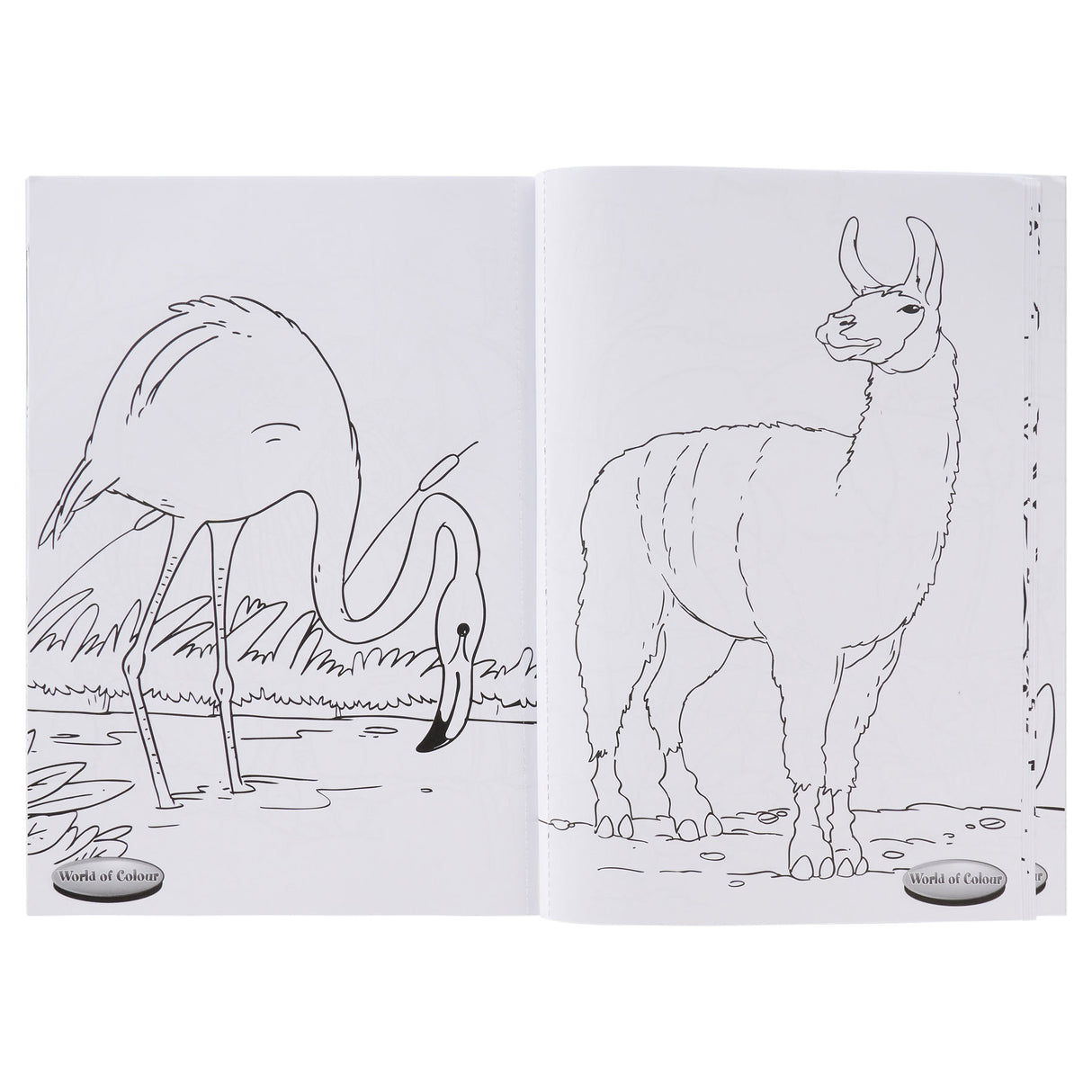 A4 48 Page Colour Fun Perforated Colouring Book - Animals by World of Colour on Schoolbooks.ie