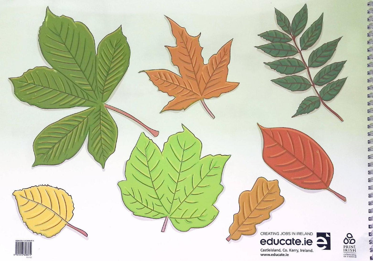 Design in Wood - Textbook, Activity Book & Log Book - Set by Educate.ie on Schoolbooks.ie
