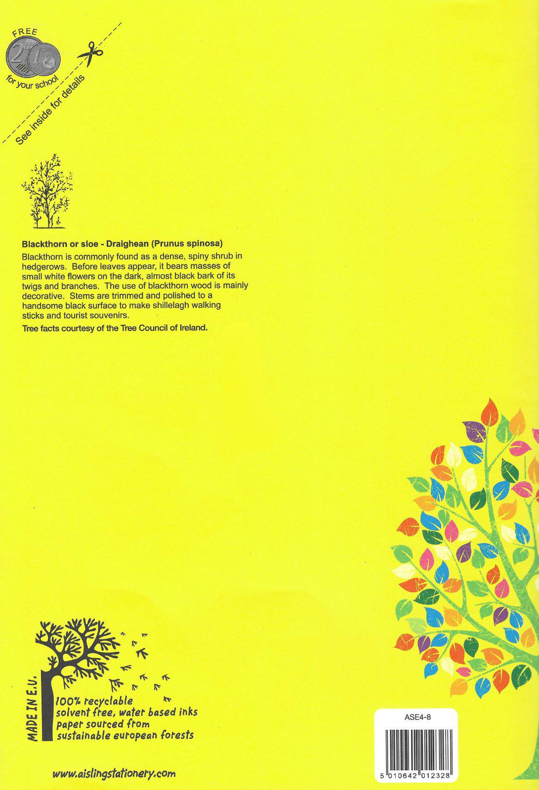 ■ Aisling Manuscript Copy A4 - ASE4 by Aisling on Schoolbooks.ie