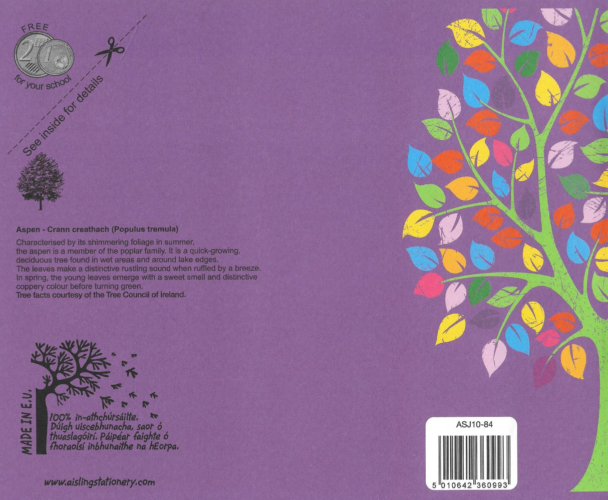 ■ Aisling Junior Copybook 32 Page - ASJ10 by Aisling on Schoolbooks.ie