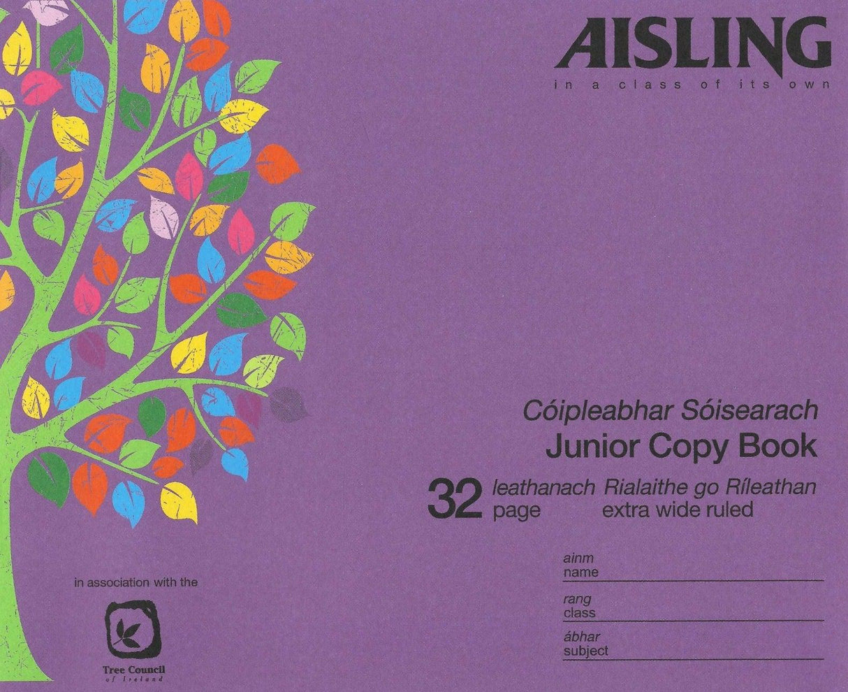 ■ Aisling Learn to Write Copy B4 32 Page - ASXB4 by Aisling on Schoolbooks.ie