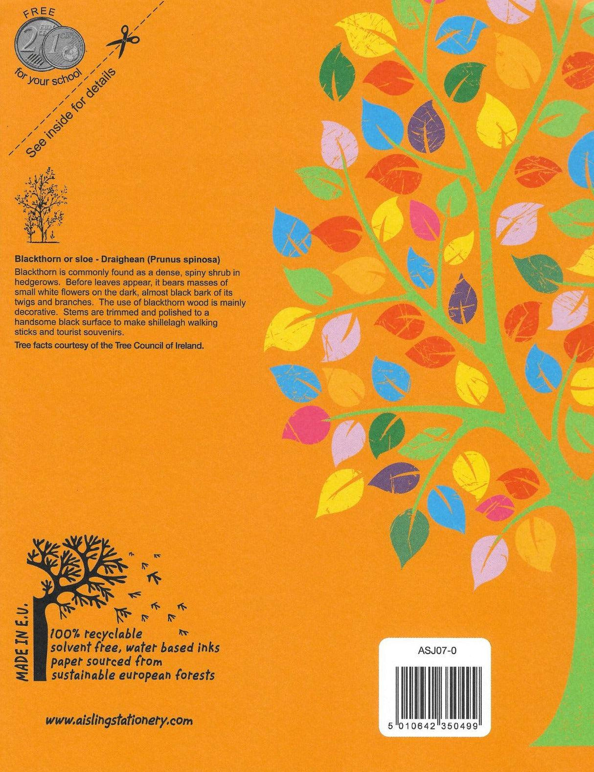 ■ Aisling Junior Sum Copy - 20mm Squares - 32 Page - ASJ07 by Aisling on Schoolbooks.ie