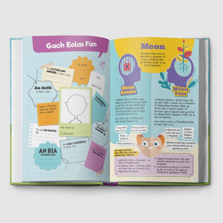 Clúdach crua Dialann Obair Bhaile by 4Schools.ie on Schoolbooks.ie