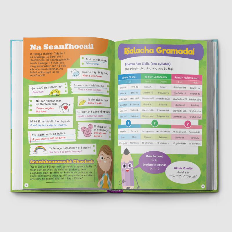 Clúdach crua Dialann Obair Bhaile by 4Schools.ie on Schoolbooks.ie