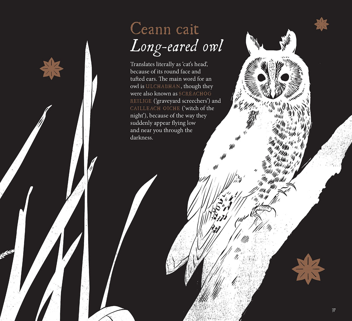 Tree Dogs, Banshee Fingers and Other Irish Words for Nature by Gill Books on Schoolbooks.ie