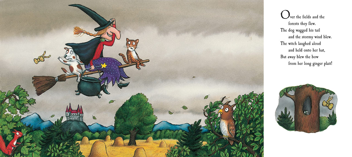 ■ Room On The Broom - 20th Anniversary Edition by Pan Macmillan on Schoolbooks.ie