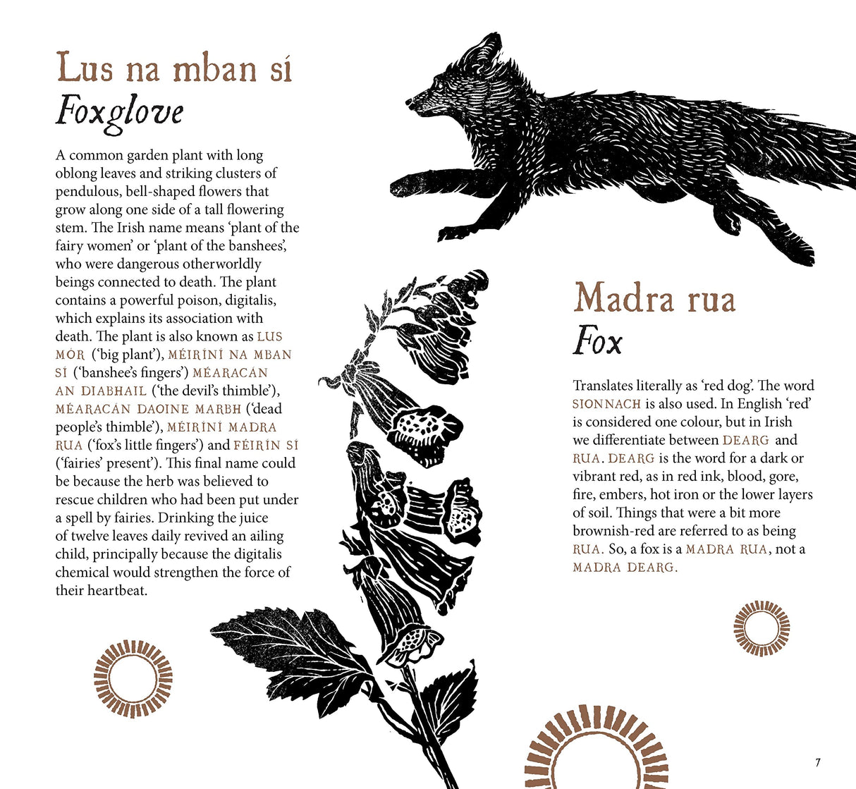 Tree Dogs, Banshee Fingers and Other Irish Words for Nature by Gill Books on Schoolbooks.ie