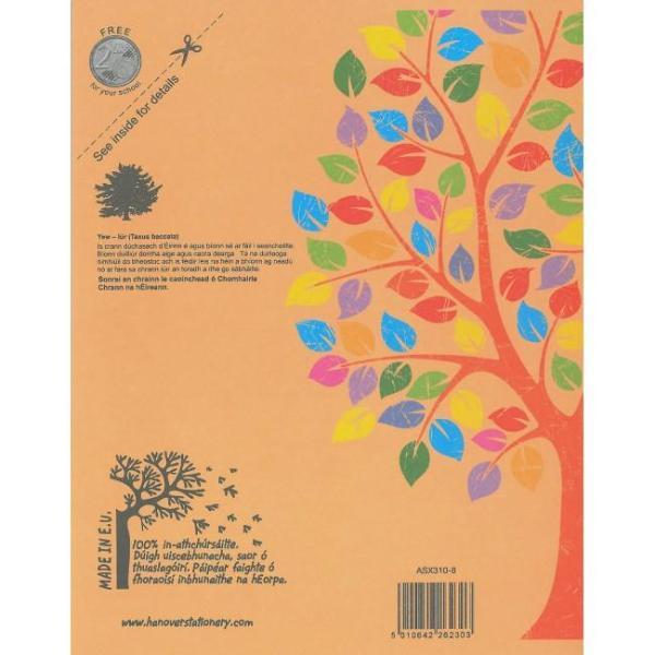 ■ Aisling Junior Sum Copy - 10mm Squares - 32 Page - ASX310 by Aisling on Schoolbooks.ie