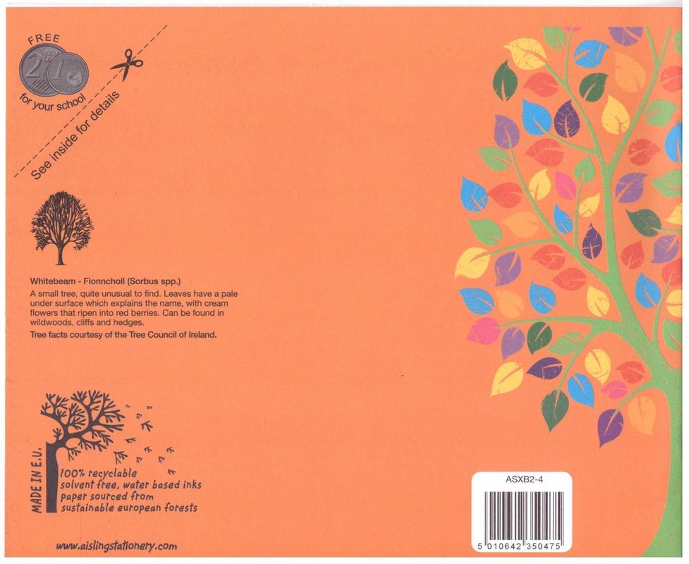 ■ Aisling Learn to Write Copy B2 32 Page - ASXB2 by Aisling on Schoolbooks.ie