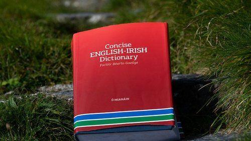 Concise English - Irish Dictionary by An Gum on Schoolbooks.ie