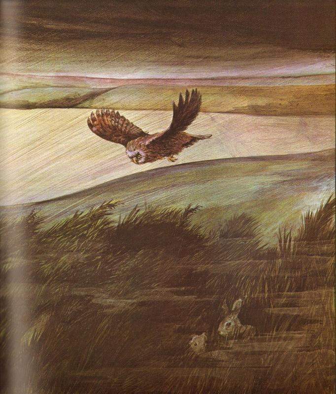 ■ A Dark, Dark Tale by Andersen Press Ltd on Schoolbooks.ie