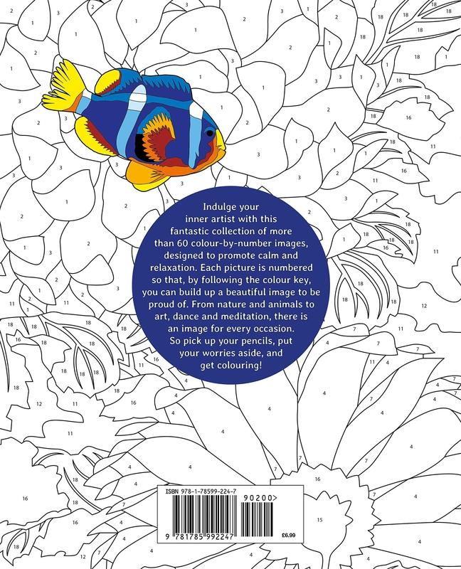 ■ Calm Colour by Numbers by Arcturus Publishing Ltd on Schoolbooks.ie