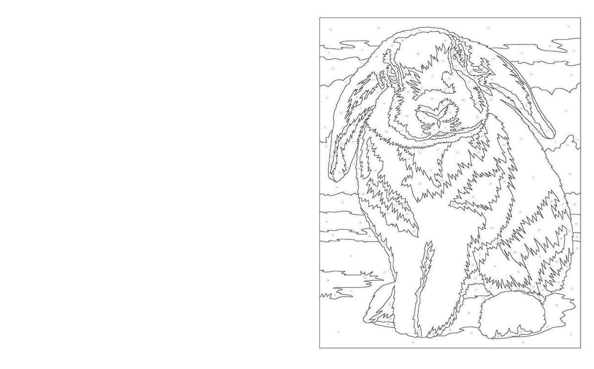 ■ Calm Colour by Numbers by Arcturus Publishing Ltd on Schoolbooks.ie