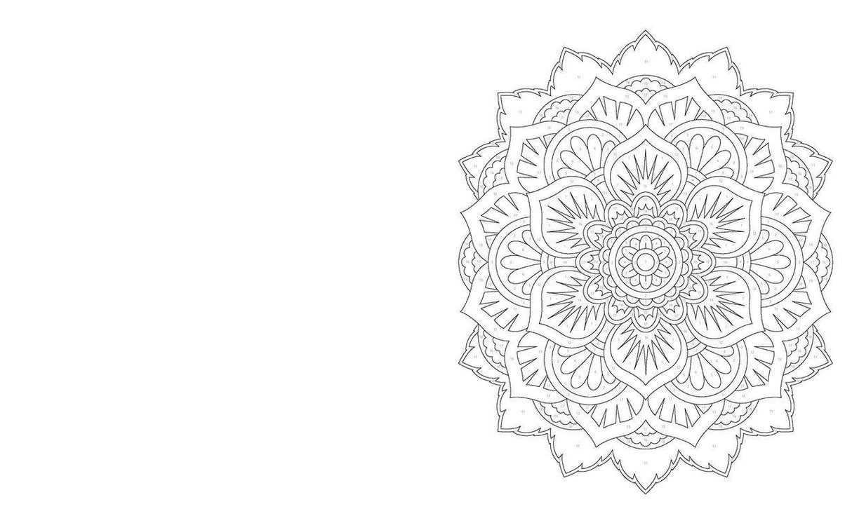 ■ Calm Colour by Numbers by Arcturus Publishing Ltd on Schoolbooks.ie