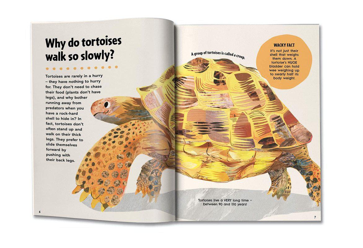 Britannica First Big Book of Why by Britannica Books on Schoolbooks.ie