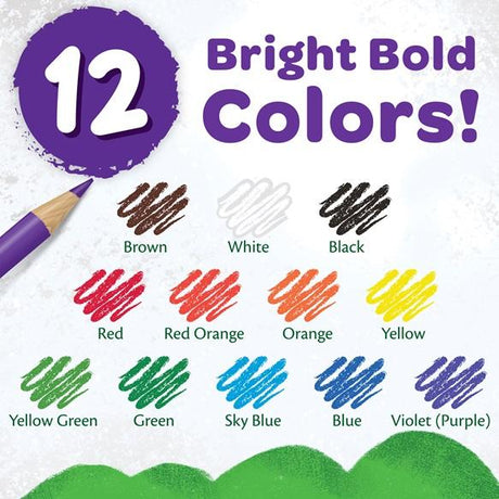 Crayola - Coloured Pencils - Pack of 12 by Crayola on Schoolbooks.ie