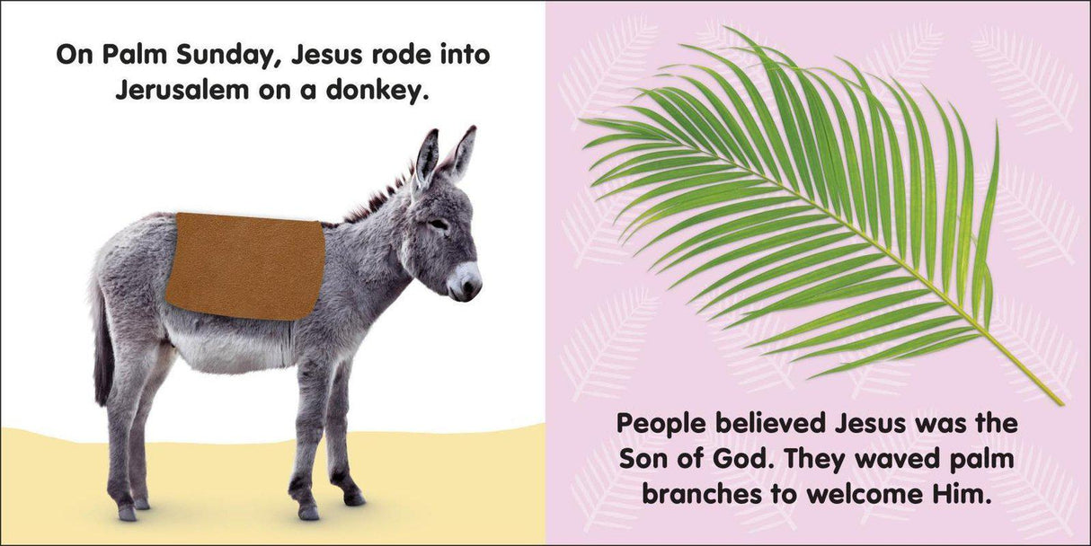 Baby's First Easter by DK Children on Schoolbooks.ie