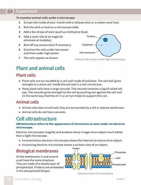 Revise Wise - Leaving Cert - Biology - Higher Level by Edco on Schoolbooks.ie