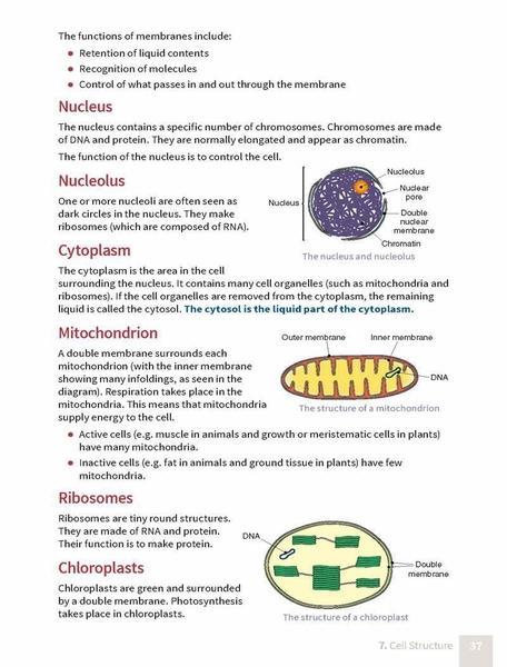Revise Wise - Leaving Cert - Biology - Higher Level by Edco on Schoolbooks.ie