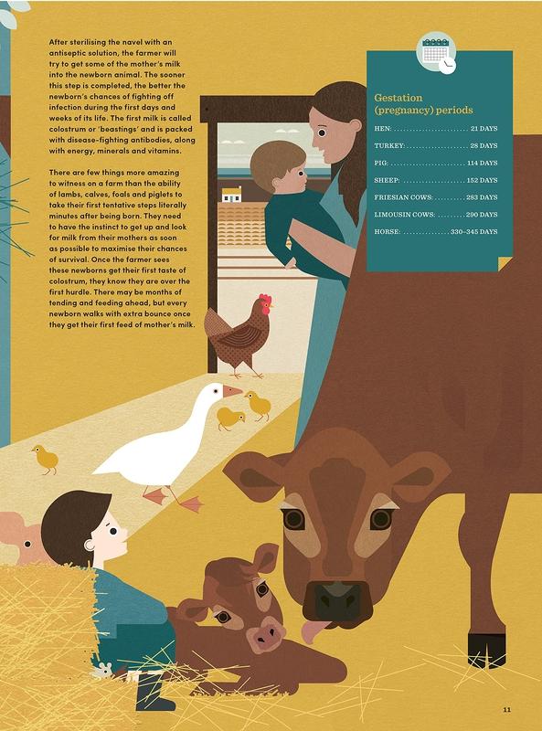 ■ The Great Irish Farm Book by Gill Books on Schoolbooks.ie