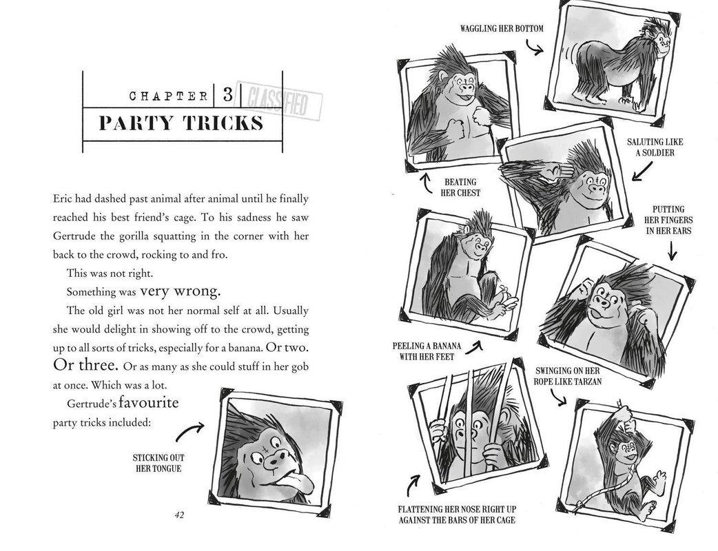 Code Name Bananas by HarperCollins Publishers on Schoolbooks.ie