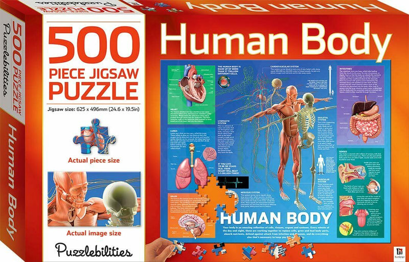 500 Piece Children's Jigsaw - Human Body by Hinkler on Schoolbooks.ie