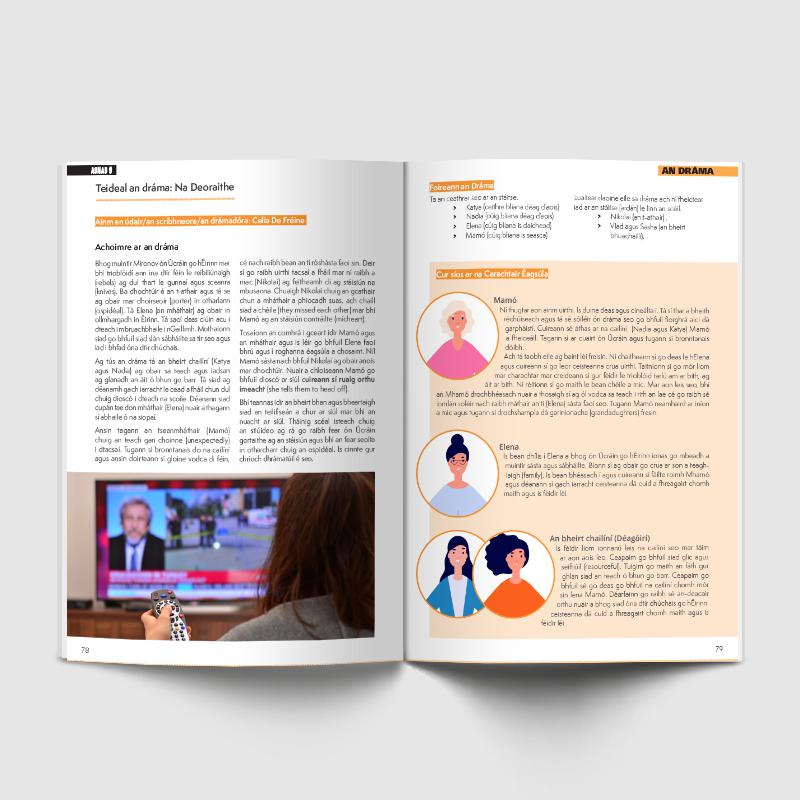 Junior Cycle Success - Gaeilge by 4Schools.ie on Schoolbooks.ie