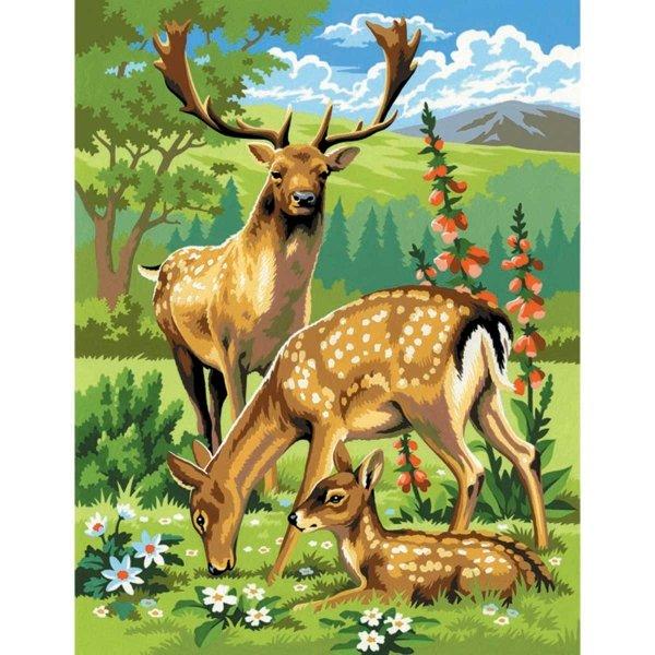 Woodland Animals - Medium Paint By Numbers by KSG on Schoolbooks.ie