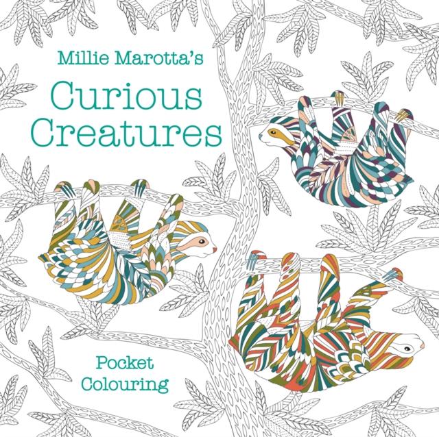 ■ Millie Marotta's Curious Creatures - Pocket Colouring by Pavilion Books on Schoolbooks.ie