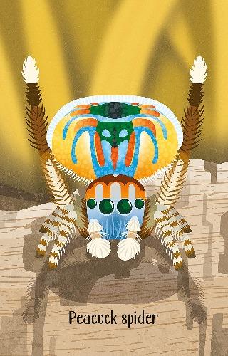 Bugs Snap by Usborne Publishing Ltd on Schoolbooks.ie