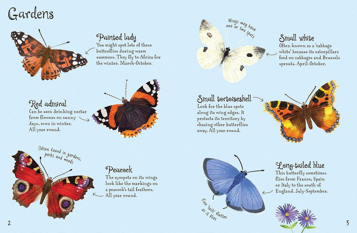 Butterflies to Spot by Usborne Publishing Ltd on Schoolbooks.ie