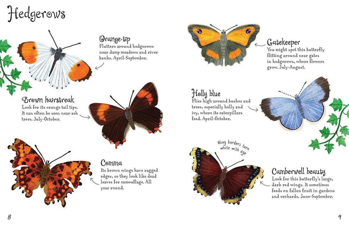 Butterflies to Spot by Usborne Publishing Ltd on Schoolbooks.ie