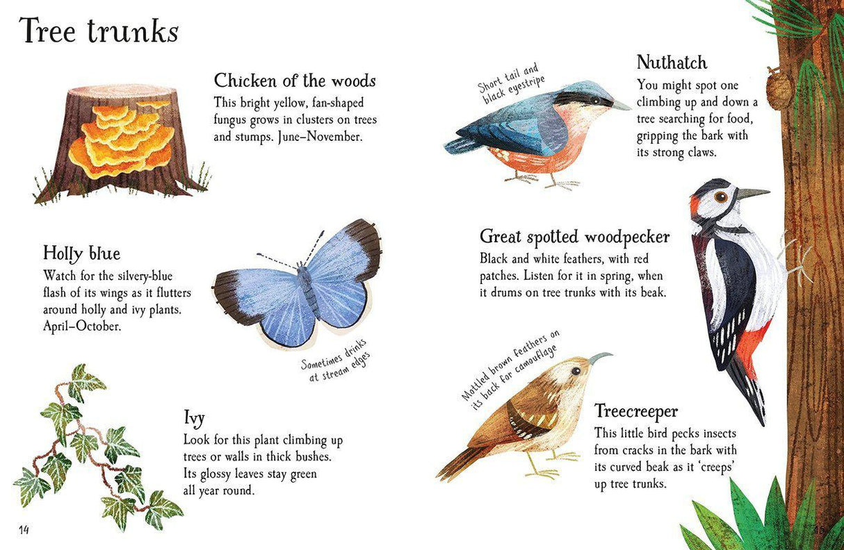 ■ Woodland Life to Spot by Usborne Publishing Ltd on Schoolbooks.ie