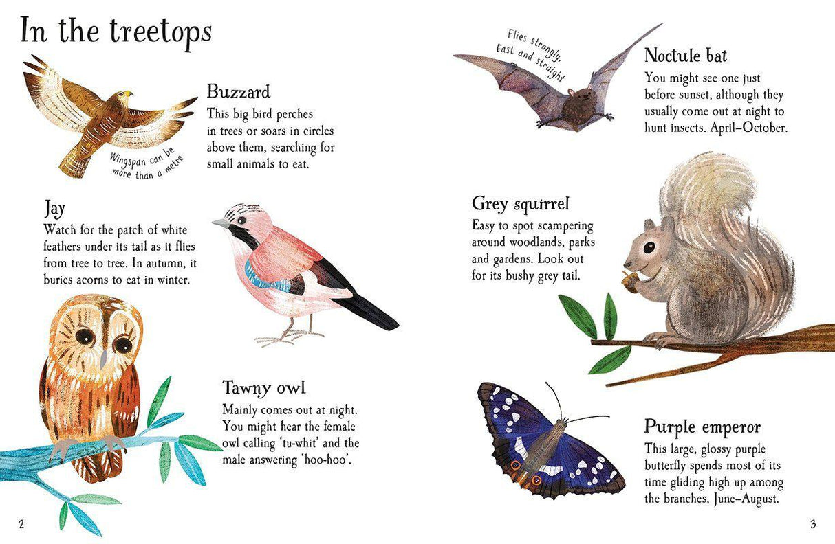 ■ Woodland Life to Spot by Usborne Publishing Ltd on Schoolbooks.ie