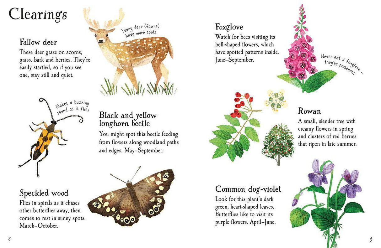 ■ Woodland Life to Spot by Usborne Publishing Ltd on Schoolbooks.ie