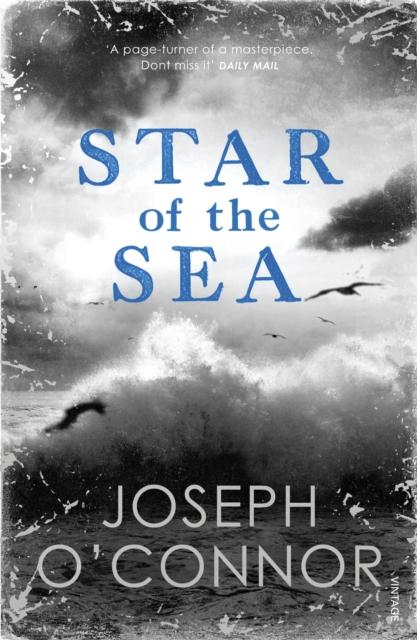 Star of the Sea by Vintage Publishing on Schoolbooks.ie