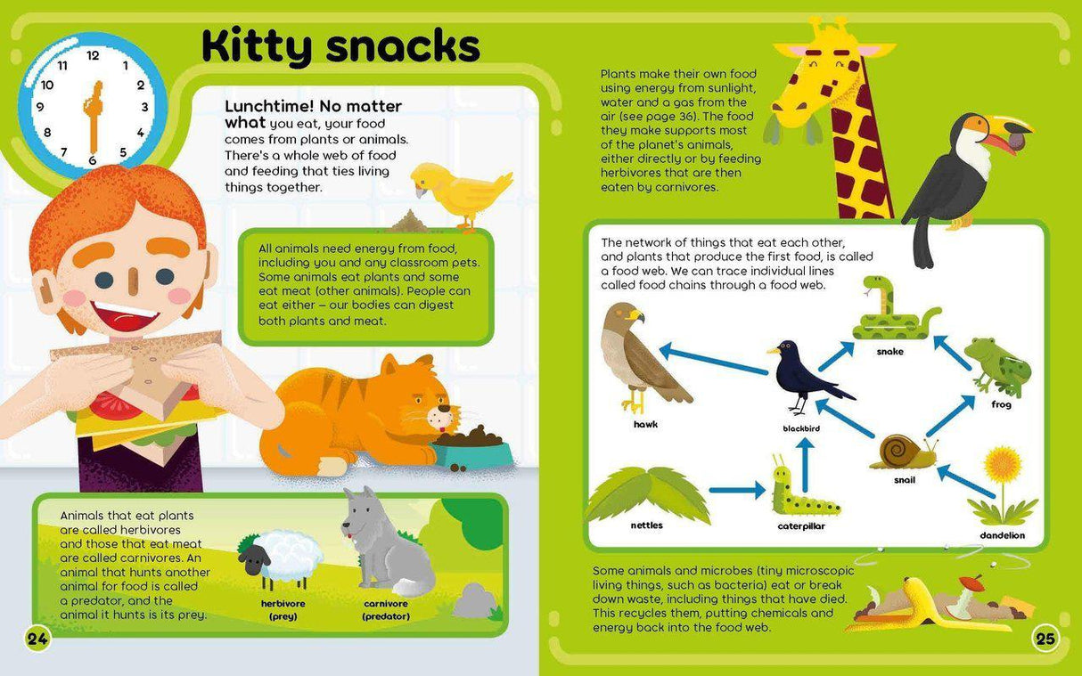 ■ My STEM Day - Science : Packed with fun facts and activities! by Welbeck Publishing Group on Schoolbooks.ie