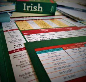 Yuri's Irish Grammar - Part 2 by Yuri's Study Cards on Schoolbooks.ie