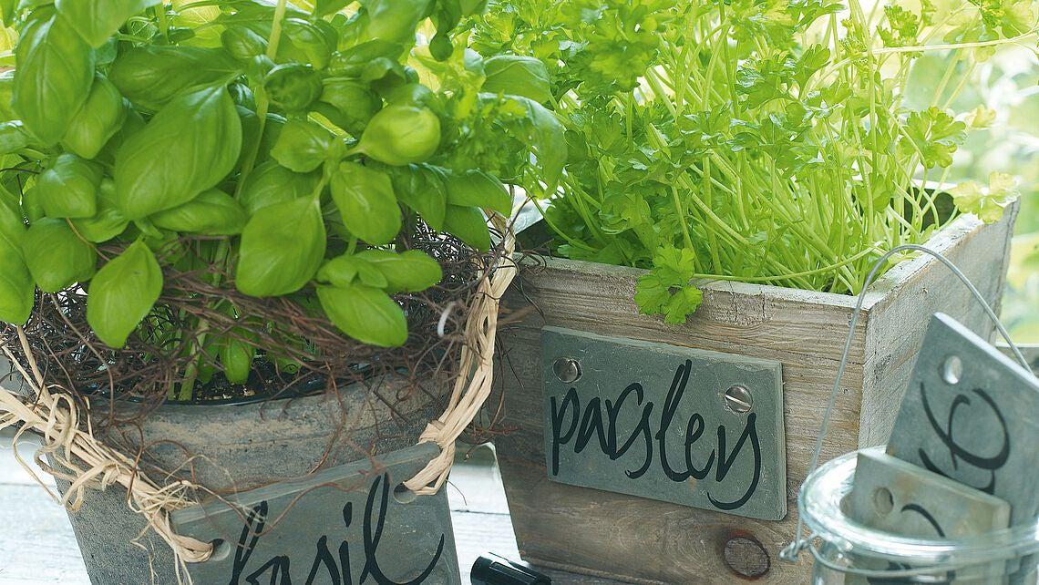 edding 755 - Calligraphy Paint Marker - Silver 054 by edding on Schoolbooks.ie