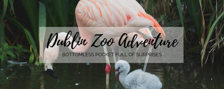 Dublin Zoo and Schoolbooks.ie